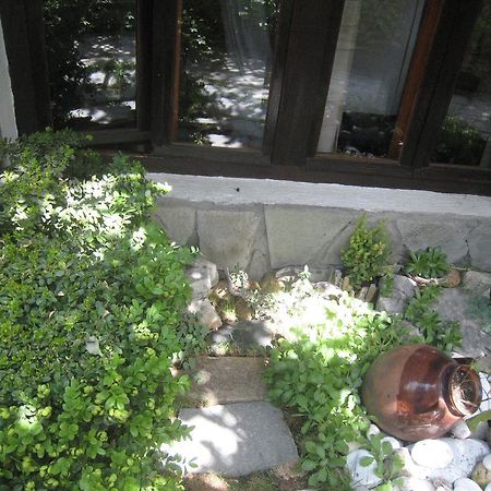 Guest House Voyno Dobrinishte Luaran gambar