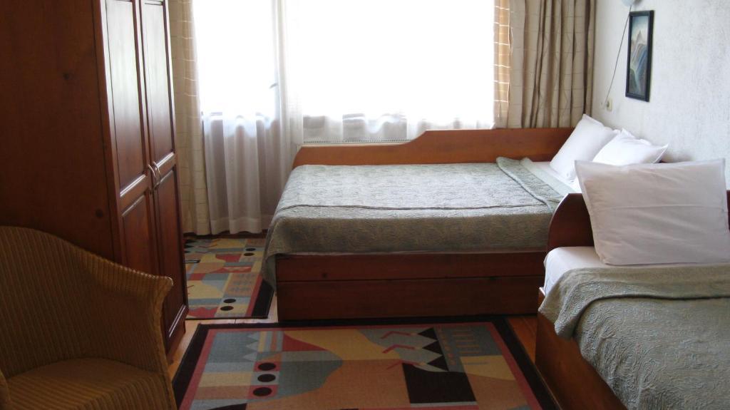 Guest House Voyno Dobrinishte Bilik gambar