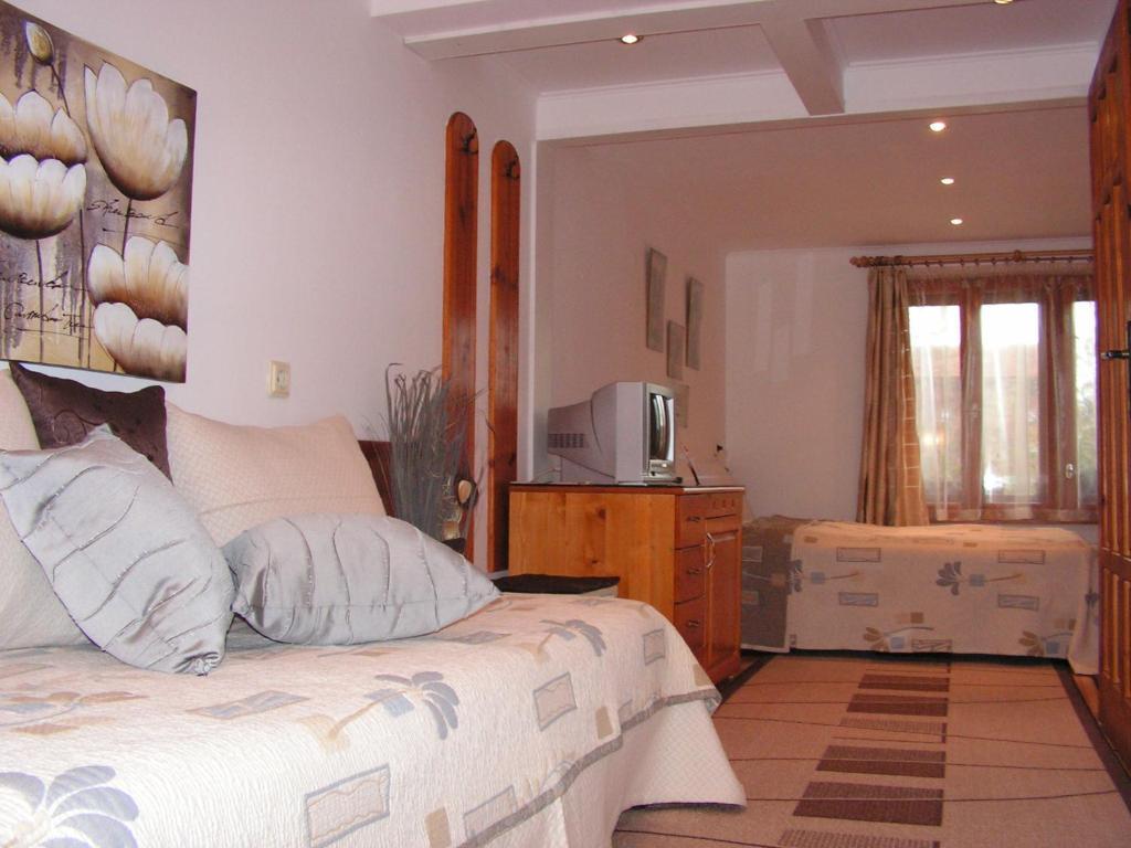 Guest House Voyno Dobrinishte Bilik gambar
