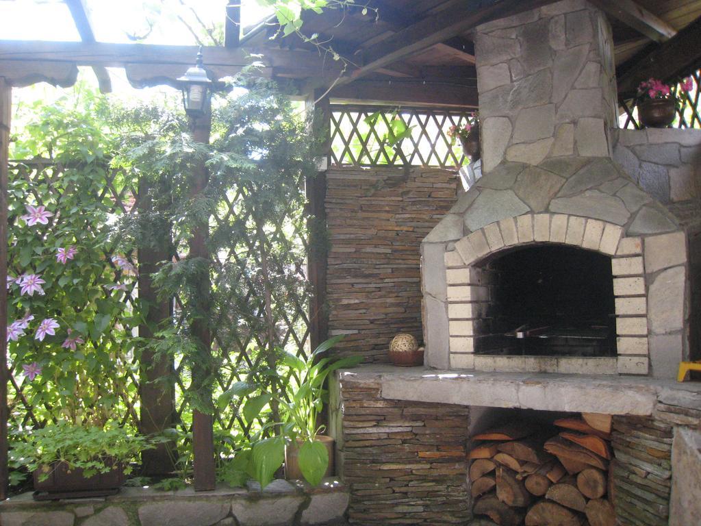 Guest House Voyno Dobrinishte Luaran gambar