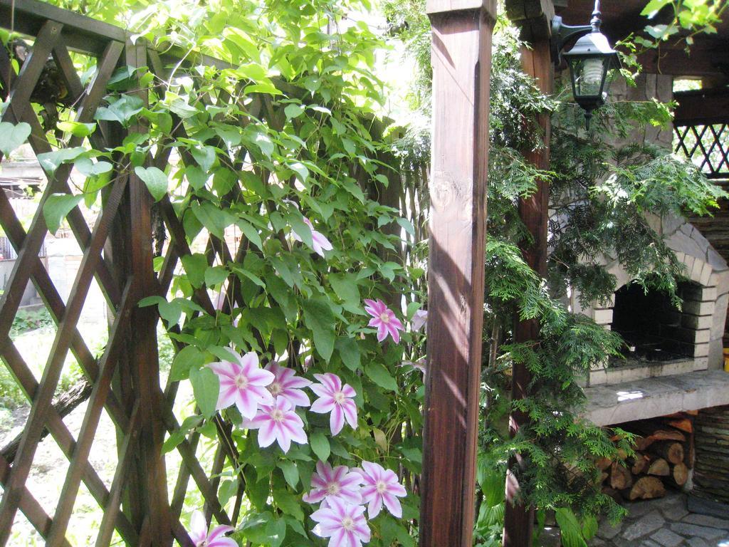 Guest House Voyno Dobrinishte Luaran gambar