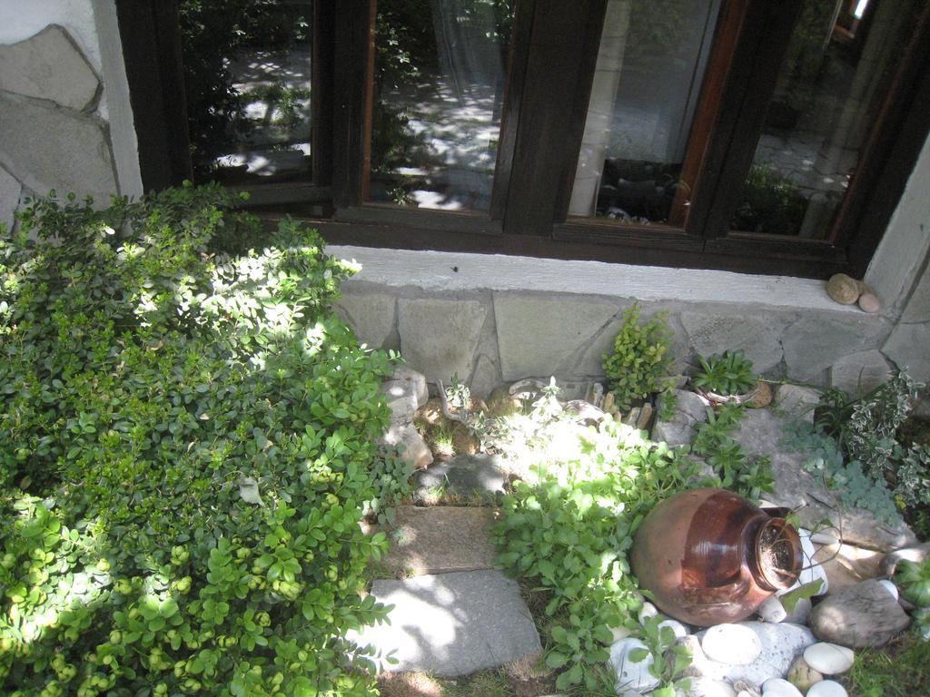Guest House Voyno Dobrinishte Luaran gambar
