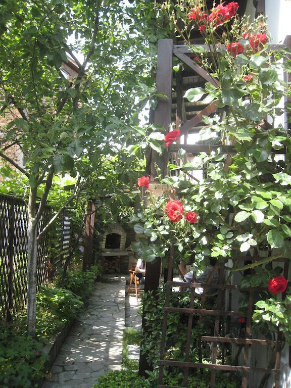 Guest House Voyno Dobrinishte Luaran gambar
